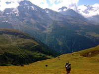 Image 11-2  After such weighty thoughts we continued up